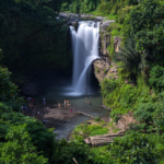 TEGENUNGAN_20250312_132143_0011